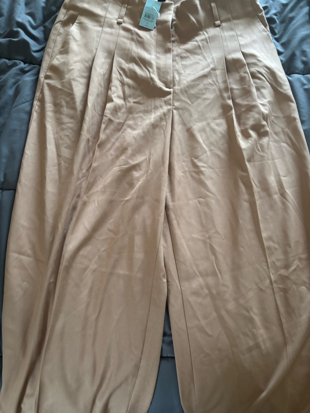 Ann Taylor Classic Wide Leg Chino Pants in Light Khaki